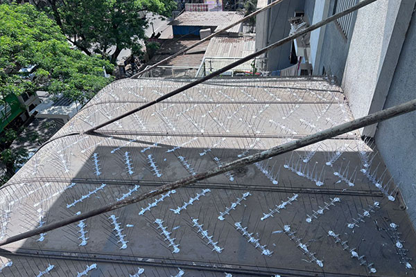 Anti bird net protecting a residential building